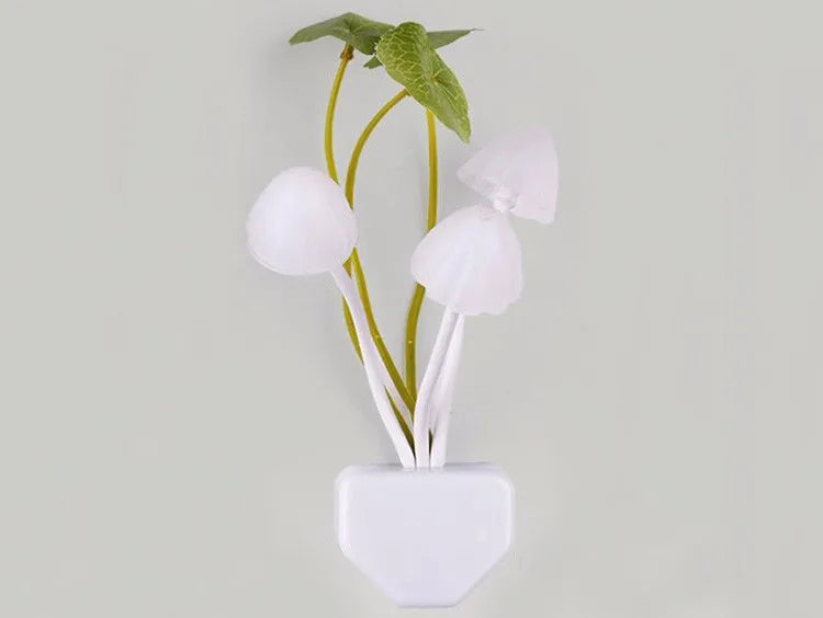 Novelty Mushroom Fungus Night Light EU & US Plug.
