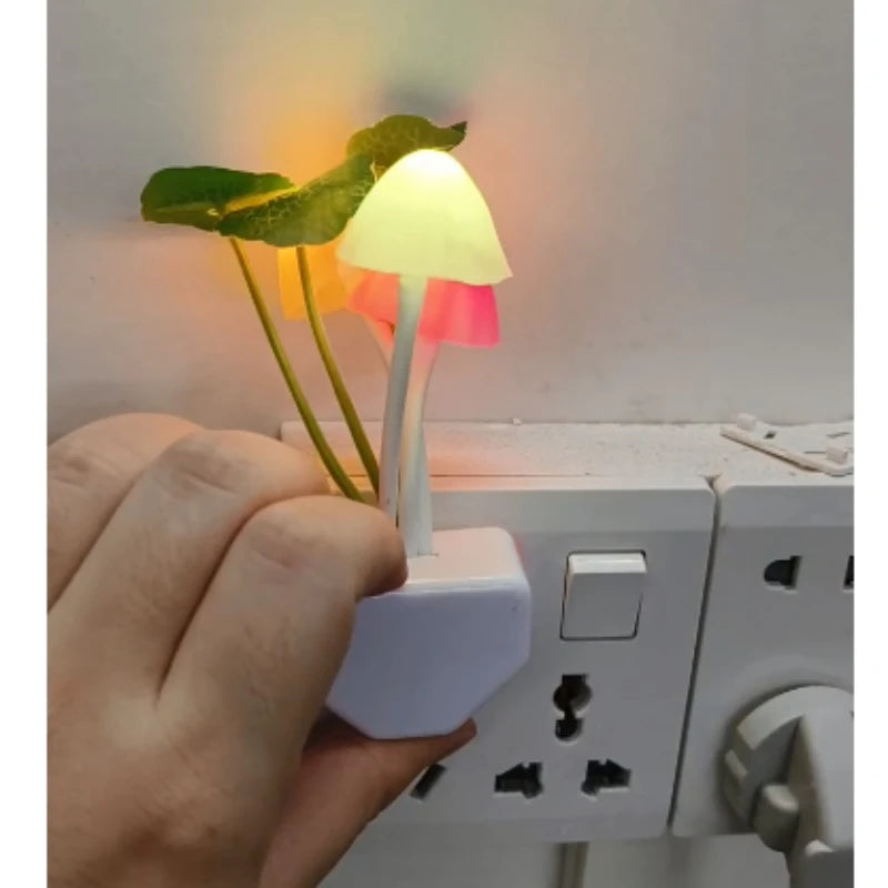 Novelty Mushroom Fungus Night Light EU & US Plug.